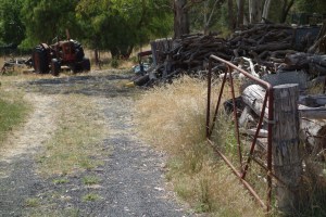 Technology Wasteland